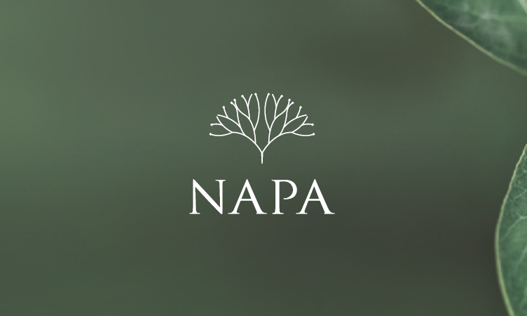 NAPA NAPA NAPA NAPA