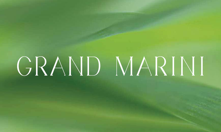 GRAND MARINI GRAND MARINI GRAND MARINI GRAND MARINI